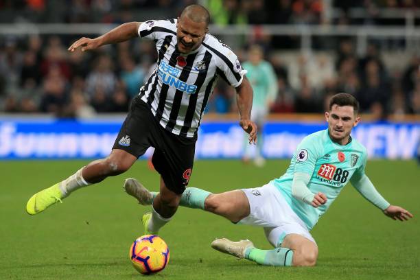 仅展现了她 仅展现了她